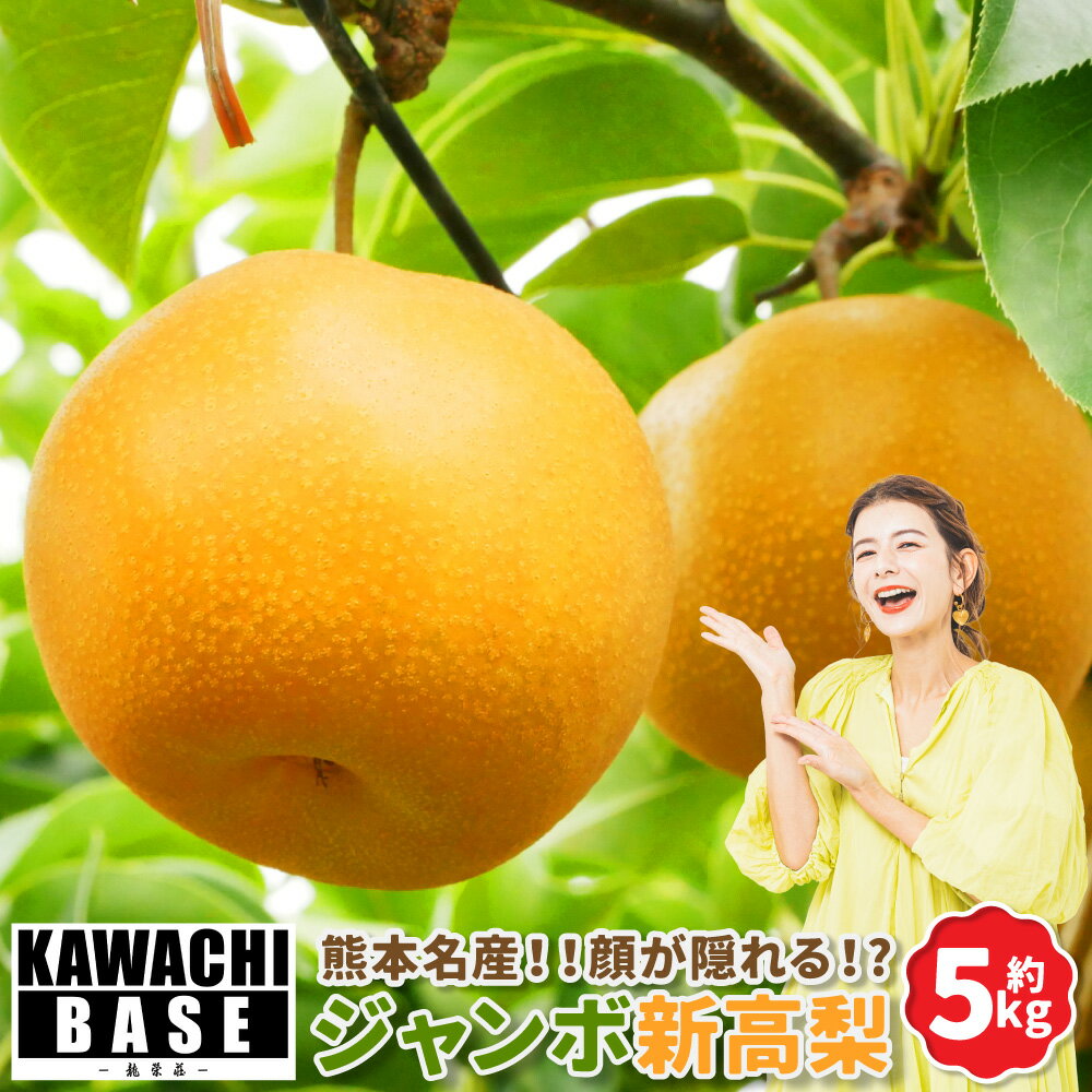 【ふるさと納税】熊本名産！！ 顔が隠れる！? ジャンボ新高梨 5kg ｜ナシ 梨 フルーツ 果物 くだもの ジャンボ 大きい 甘い ジューシー 冷蔵 九州 熊本県 送料無料 【2026年9月上旬発送開始】