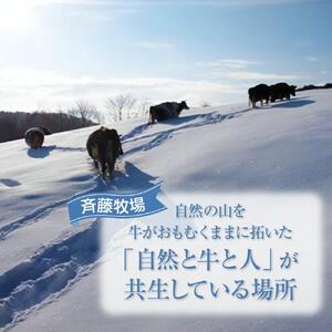 【12ヶ月定期便】斉藤牧場の山地自然放牧牛乳（900ml×2本×12回） ｜ 牛乳 _00578