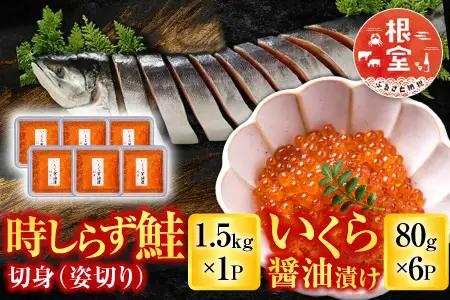 時しらず鮭1.5kg×1P・いくら醤油漬け80g×6P D-42067