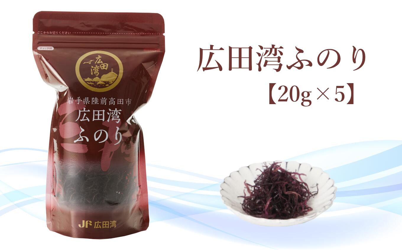 【ふるさと納税】広田湾漁協からお届け！ ふのり 20g×5個 セット 【 のり 海藻 フノリ 常温 乾燥 味噌汁 みそ汁 スープ ラーメン サラダ 料理 おかず おつまみ 人気 おすすめ ギフト 贈り物 保存食 ブランド 天然 国産 三陸 岩手 陸前高田 】★