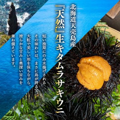 ふるさと納税 羽幌町 【北海道 天売島産】先行予約 天然キタムラサキウニ塩水パック100g×1パック【31001】 |  | 01
