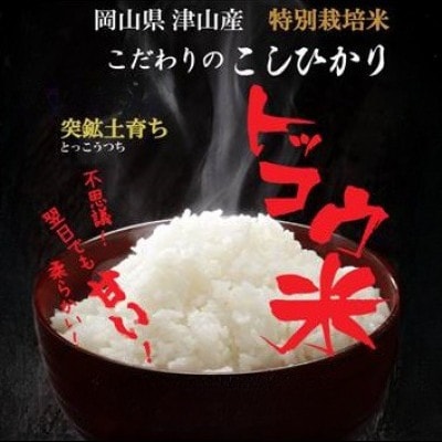 【突鉱土育ち】津山産トッコウ米(こしひかり)10kg【1361989】