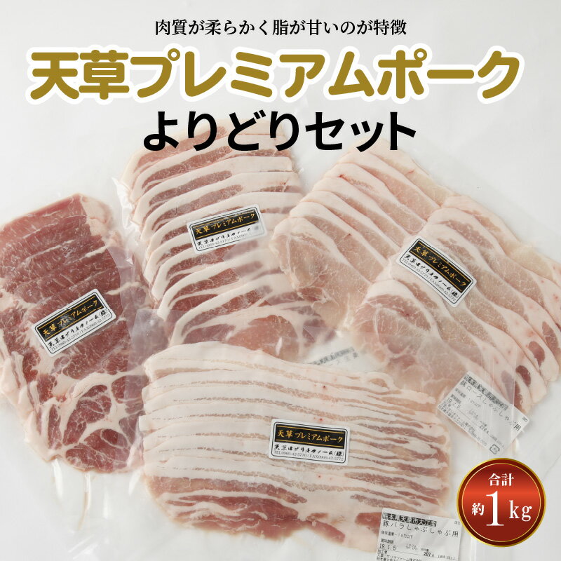 【ふるさと納税】豚肉 セット 約 1kg 豚ロース バラ 肩ロース しゃぶしゃぶ 生姜焼き 産地直送 国産 オリジナルブランド豚 プレミアムポーク 天草市 熊本県 柔らか あっさり 食品 お取り寄せ お取り寄せグルメ 送料無料
