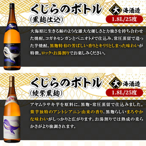 海の蔵「大海酒造」の飲み比べセット！B-２（合計6本） 1797