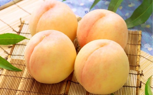 岡山白桃 4～5玉（合計1.0kg以上） もも 桃 モモ 白桃 フルーツ 果物 果実 化粧箱 贈答品 贈り物 岡山県 倉敷市【2026年7月上旬～8月上旬まで順次発送予定】