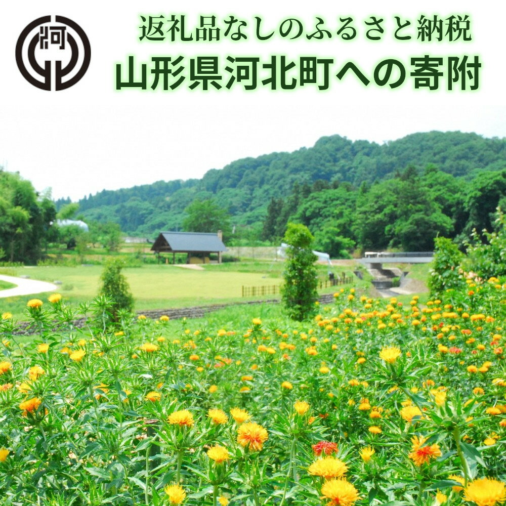 【ふるさと納税】返礼品なしのふるさと納税 河北町への寄附