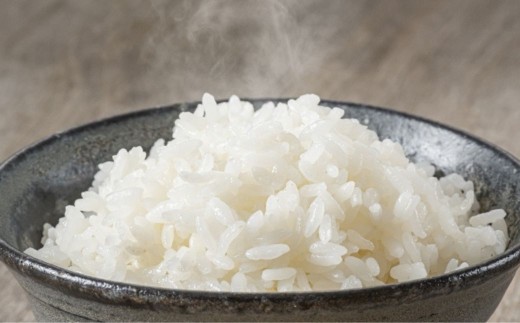 【令和7年産】ゆめぴりか 5kg 小田切清志農園（2025年10月下旬より発送） 【 ふるさと納税 人気 おすすめ ランキング 米 こめ コメ ゆめぴりか 北海道産 ご飯 白米 おにぎり 北海道 七飯町 送料無料 】 NABJ001