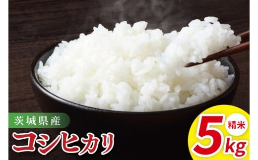 茨城県産コシヒカリ　精米　5kg｜精米 定期便 お米 米 こめ コメ ごはん 白米 阿見町 茨城県 茨城県産 茨城県産米 安心 安全 送料無料 国産 人気 数量限定 高評価（85-11）