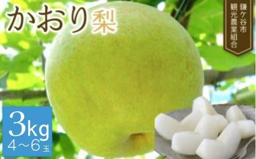 
            【先行予約】 かおり 3kgかまがや育ちの完熟梨（観光組合）
          