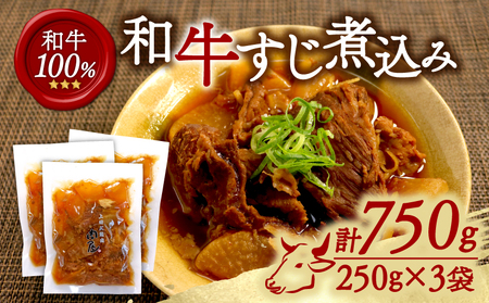 和牛すじ煮込み 3袋 750g (250g×3) 和牛すじ 煮込み 惣菜