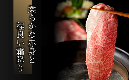 飛騨牛 モモまたはカタ すき焼き しゃぶしゃぶ 500g 肉 牛肉 和牛