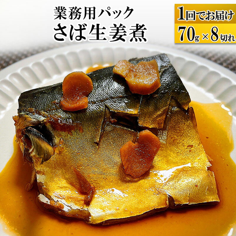 【ふるさと納税】さば生姜煮 業務用パック 70g×8切れ 冷凍 惣菜 おかず つまみ レンチン 湯煎 簡単 煮物 煮付