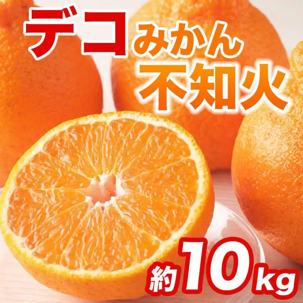 【先行予約】 不知火 デコみかん (デコポン同品種) 約10kg (24～48玉) みかん 柑橘【2027年2月上旬より順次発送】
