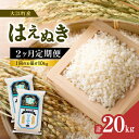 【ふるさと納税】《2ヶ月定期便》大江町産 はえぬき 10kg(5kg×2袋)×2ヶ月(計20kg)【山形県産】