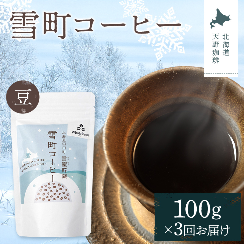 【定期便】雪町コーヒー 豆（100g）1個×3回 自家焙煎 低温貯蔵 エチオピア 北海道 沼田町 n-0114