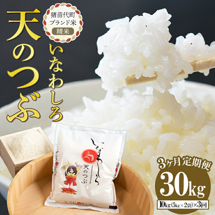【ふるさと納税】定期便 【3ヵ月連続】猪苗代町ブランド米 いなわしろ天のつぶ 10kg 米 お米 精米 白米 福島 大粒 寿司 和食　お届け：2025年10月中旬頃まで