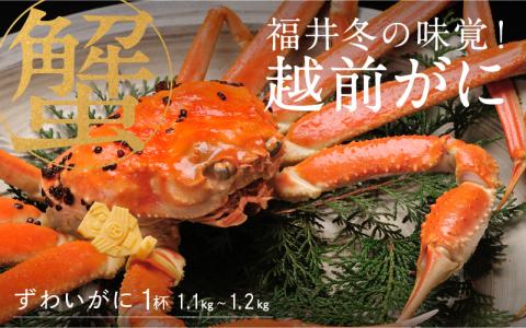 【特別価格期間延長！】【産地直送】福井冬の味覚！越前がに 1杯 (1.1～1.2kg)
