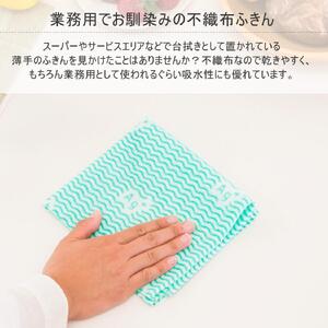 Ag+イヤなニオイのしない 除菌ふきん 不織布 3色 15枚組 銀イオン 食器拭き 台拭き 吸水 抗菌