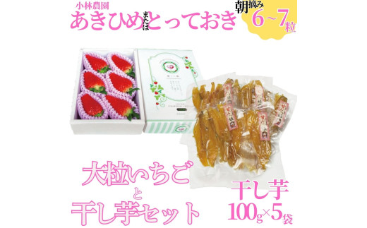 26M.■小林農園■大粒いちごと干し芋セット