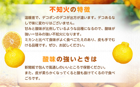 【規格外品】不知火 (デコポンと同品種) ご家庭用 10kg サイズ不選別【2025年1月下旬～3月下旬発送予定】しらぬい みかん 果物 くだもの フルーツ