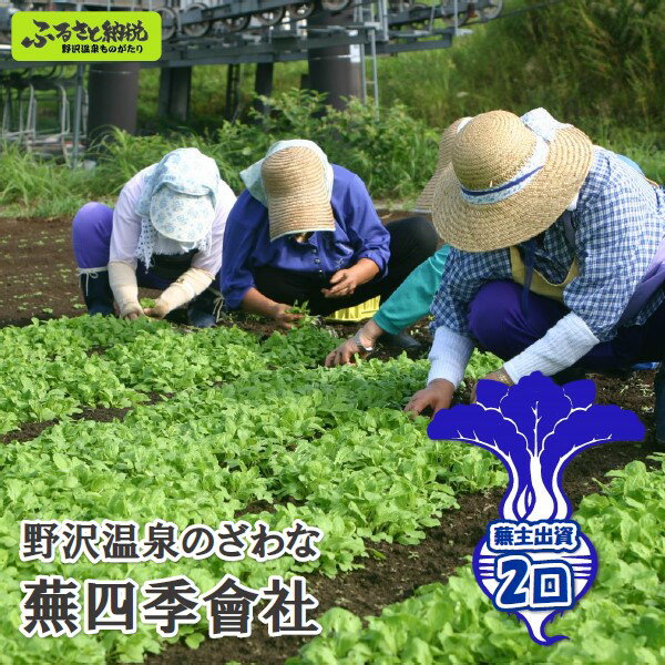 【ふるさと納税】野沢温泉のざわな蕪四季會社 蕪主出資2口 ｜ P-2 ◇