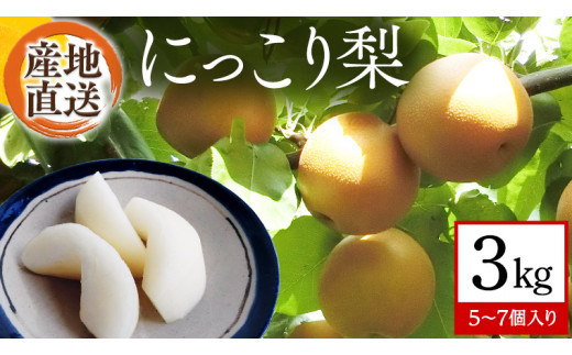 【 産地直送 】 にっこり 3kg 梨 なし ナシ [CZ004ci]