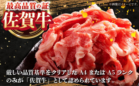【全12回定期便】佐賀牛ロース尽くし定期便 HAA071 ロース 黒毛和牛