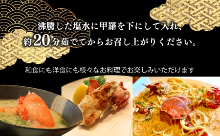 【先行予約】＜2026年11月より順次発送予定＞宮崎県串間市産 アサヒガニ500g_K027-014-01