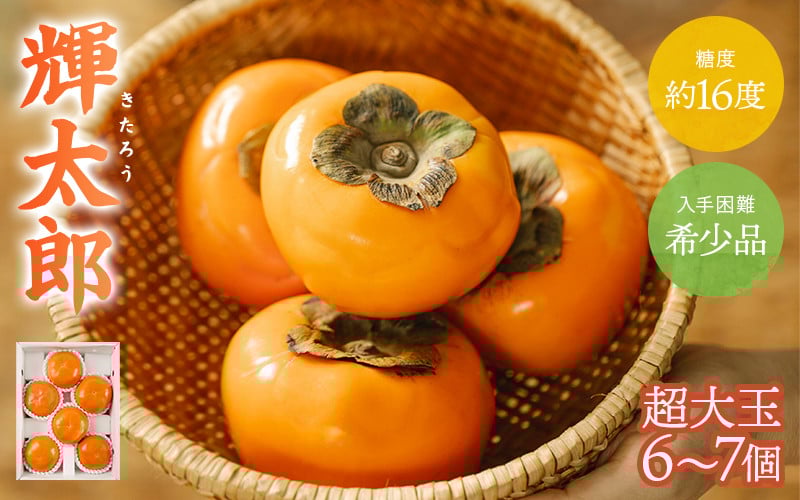 
            希少な柿【輝太郎】大玉6個～7個 コクのある甘さ！こだわり農家厳選【2026年9月末～10月末頃に順次発送予定】【KG24】
          