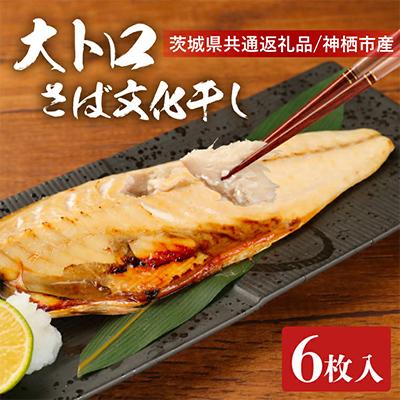ふるさと納税 水戸市 大トロさば文化干し　6枚【茨城県共通返礼品/神栖市】