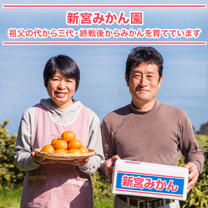  新宮みかん園のお楽しみ定期便　３回コース　みかん 温州みかん 完熟みかん 早生 不知火 しらぬひ デコポン でこぽん 甘熟 柑橘 国産 佐賀県産 太良町 Q51 