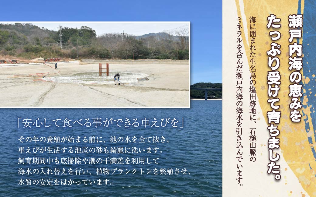 急速冷凍活きな車えび【有頭5〜6尾(約170g)×2袋セット】【配送不可地域：離島】