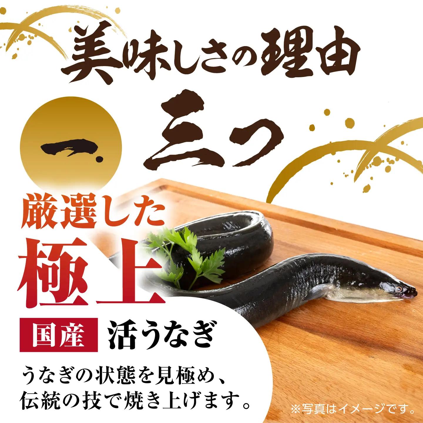 うなぎ うなぎ蒲焼き 1尾 NAK003