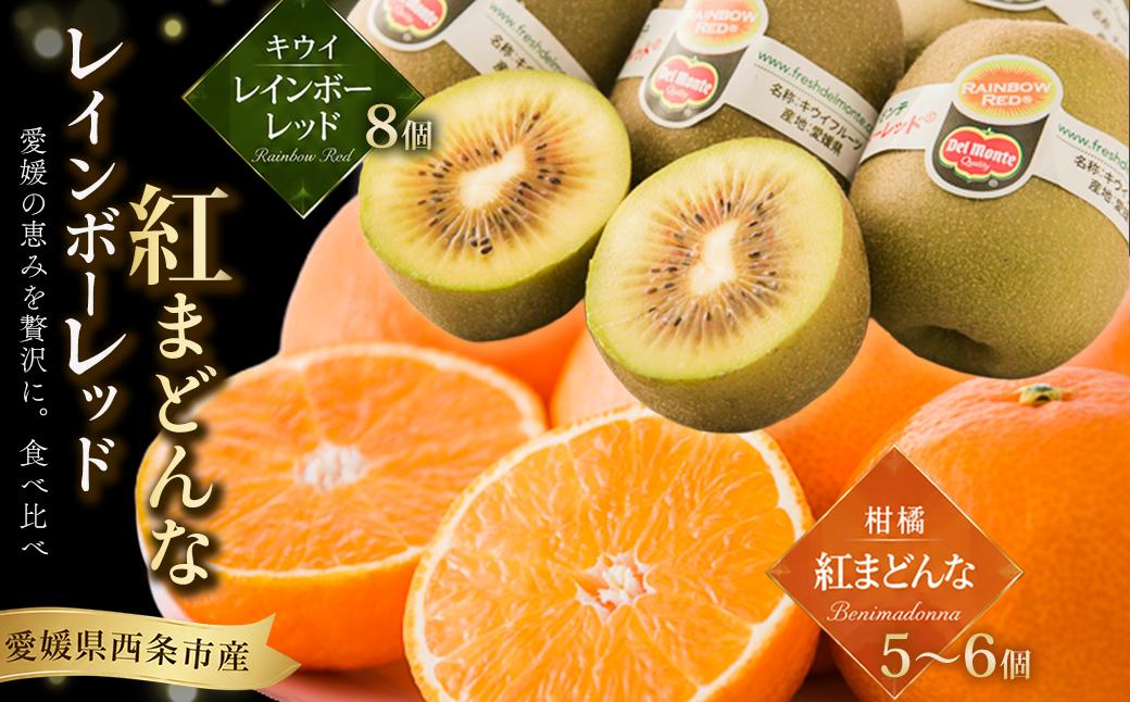
                  愛媛県西条市産 紅まどんな キウイ 詰め合わせ 【レインボーレッドキウイと紅まどんなのセット】 【先行予約】 【11月下旬～12月下旬頃発送】｜ まどんな 愛媛 紅まどんな マドンナ みかん キウイ レインボー レッド 果物 フルーツ ジューシー 甘い 高級 食べ比べ おすすめ 人気 お取り寄せ 愛媛県 西条市 送料無料
                