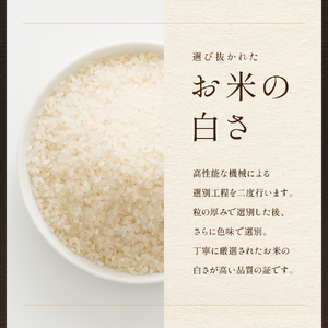 【6ヵ月定期便】北海道南るもい産【ゆめぴりか】(無洗米) 5kg 産地直送 白い お米 おいしい 無洗 特Aランク R011-071