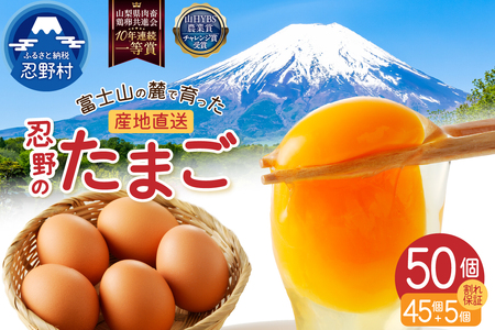 【4月配送分】富士山の麓で育った産地直送 ”忍野の卵”※卵45個+割れ保証5個　計50個