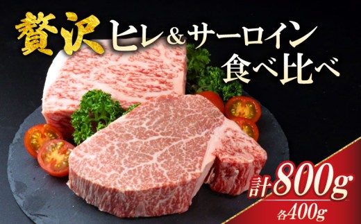 【新潟の宝】 ヒレ サーロイン ステーキ 計800g ヒレ肉 フィレ サーロイン 牛肉 和牛 新発田牛 赤身 焼肉 ふるさと納税 和牛 BBQ キャンプ 特選 贅沢 厳選和牛 ブランド牛 ギフト 贈答 新潟 新潟県 新潟産 新発田 新発田市 新発田産 新潟 えのもとミート enomoto033