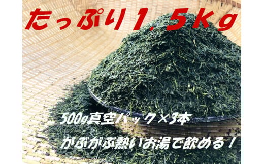 11-30 お茶 茶葉 静岡 煎茶 業務用 / 川根番茶500g×3本