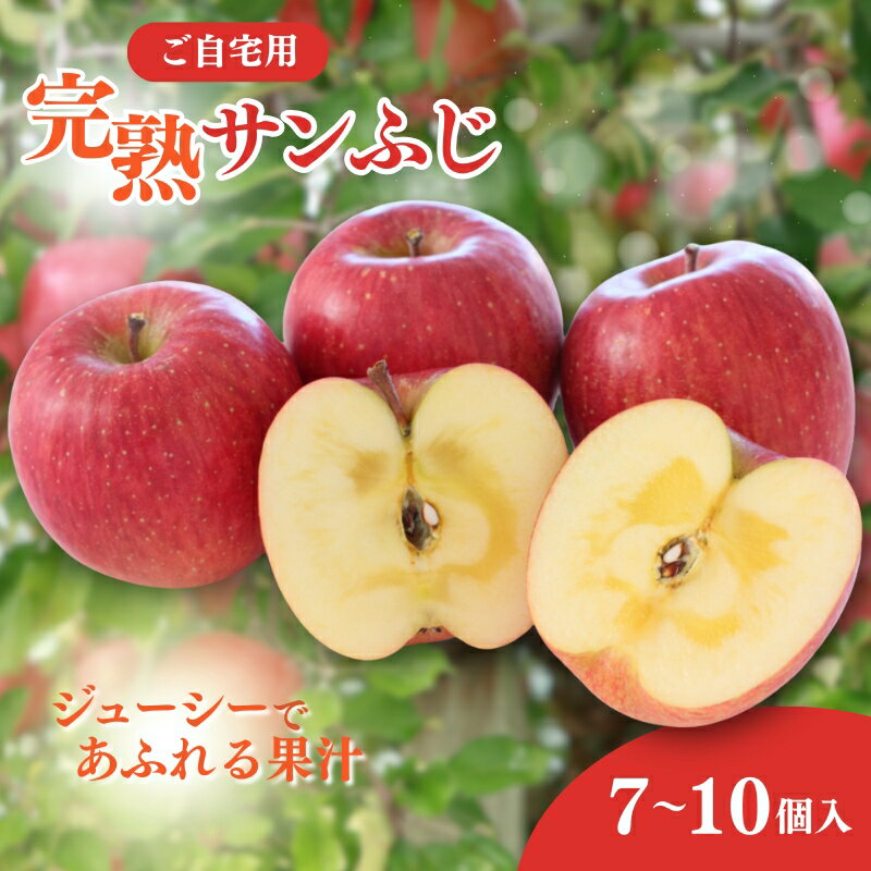 【ふるさと納税】りんご ご自宅用 完熟サンふじ 7-10個入り リンゴ フルーツ 果物 デザート 信州 長野市　お届け：2025年11月下旬～12月下旬