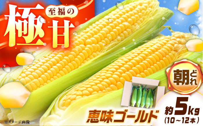 ＜2025年7月～発送／先行予約＞とうもろこし 恵味ゴールド 約5kg(梱包込) / 野菜 やさい コーン / 恵那市 / 大島農園 [AUEH001]