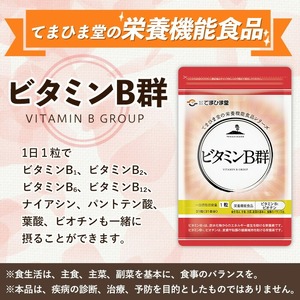 No.1298-A ＜定期便・全3回(隔月)＞活力セット(てまひま にんにく卵黄・ビタミンB群/各2袋×3回 計12袋) 鹿児島 日置市 ニンニク 健康食品 加工食品 栄養 元気 有精卵 カプセル 手