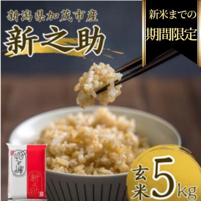 ふるさと納税 加茂市 【期間限定・個数限定】令和7年産　新之助　玄米5kg　特別企画