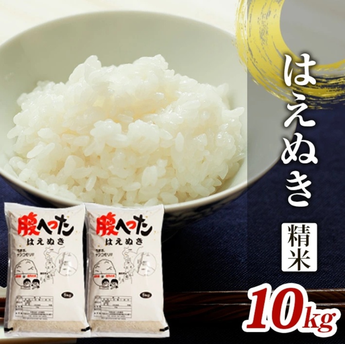 SE0454　令和7年産【精米】はえぬき　10kg(5kg×2袋) YA