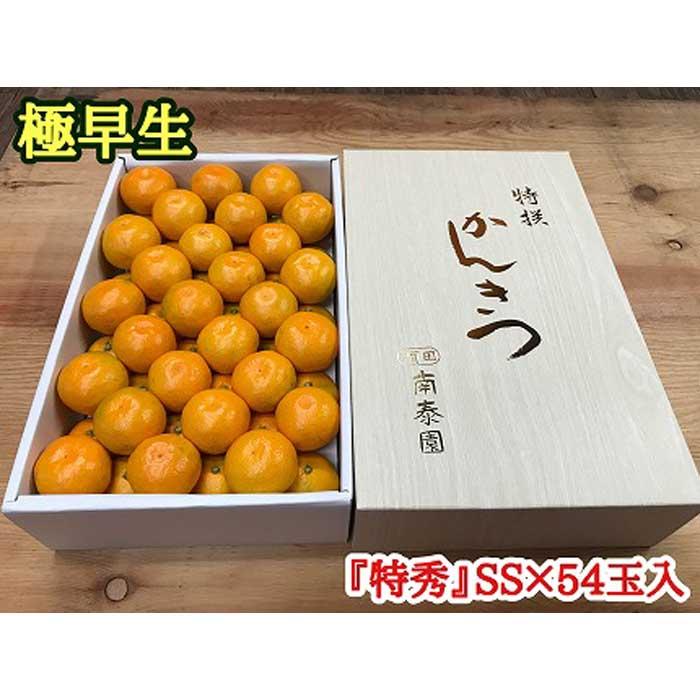 【ふるさと納税】極早生 有田 みかん 化粧箱 特秀 小玉 SS サイズ 54玉入 南泰園 和歌山 有田みかん