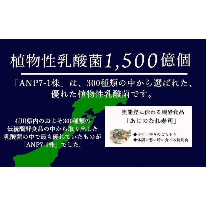 【乳酸菌1500億個】 お米の醗酵飲料 ANP71 150g×15本 冷蔵 発酵飲料