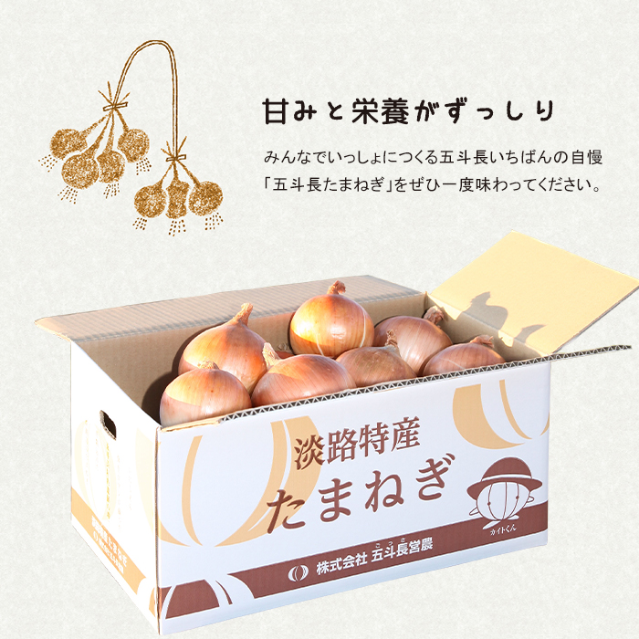 五斗長たまねぎ 5kg　　[玉ねぎ 玉葱 タマネギ 玉ねぎ 淡路