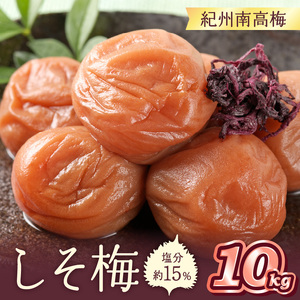 【0462-1】紀州南高梅 しそ梅(塩分15%) 10kg（和歌山県産）