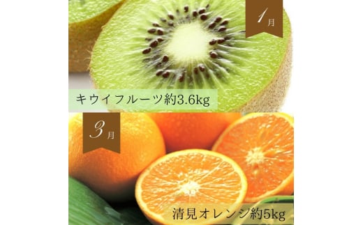 【全6回定期便】奇数月にお届け♪旬の野菜とフルーツ定期便！キウイ・清見オレンジ・アイコトマト・桃・ピオーネ・富有柿【tkb357】