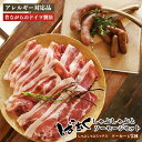 【ふるさと納税】ばあく豚 しゃぶしゃぶ と ソーセージ のセット | お肉 肉 にく ニク 豚肉 ぶた 肉加工食品 ソーセージ 奈良県 五條市 手作り 無添加 奈良県 五條市 金剛山麓