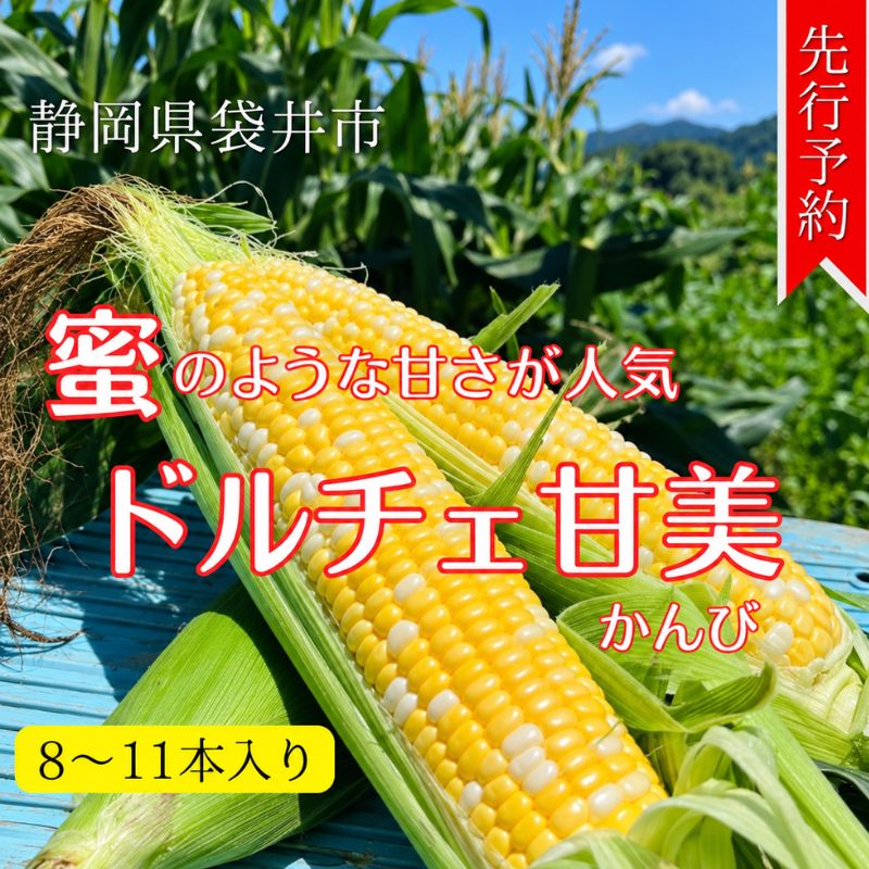 【ふるさと納税】【先行予約】リピーター続出！とうもろこし【ドルチェ甘美】　お届け：2027年7月上旬〜下旬